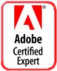 Microsoft Certified Technology Specialist